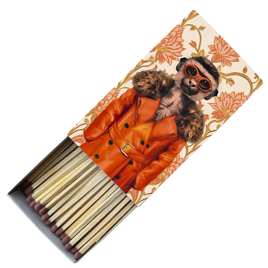 Safety Match Box - Timon