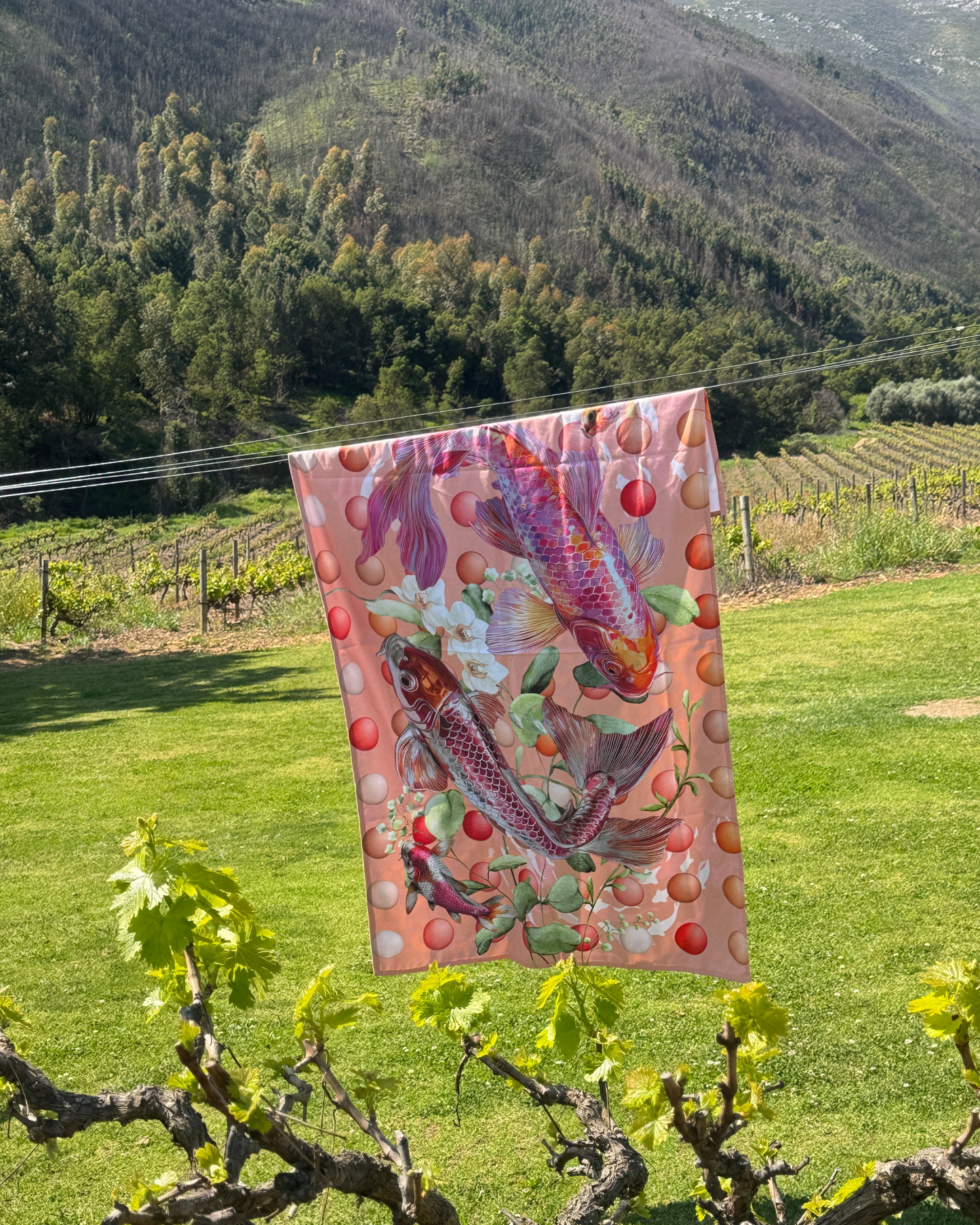 Pink Koi - Beach Towel