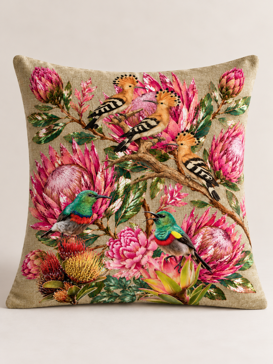Hoopoe & Proteas