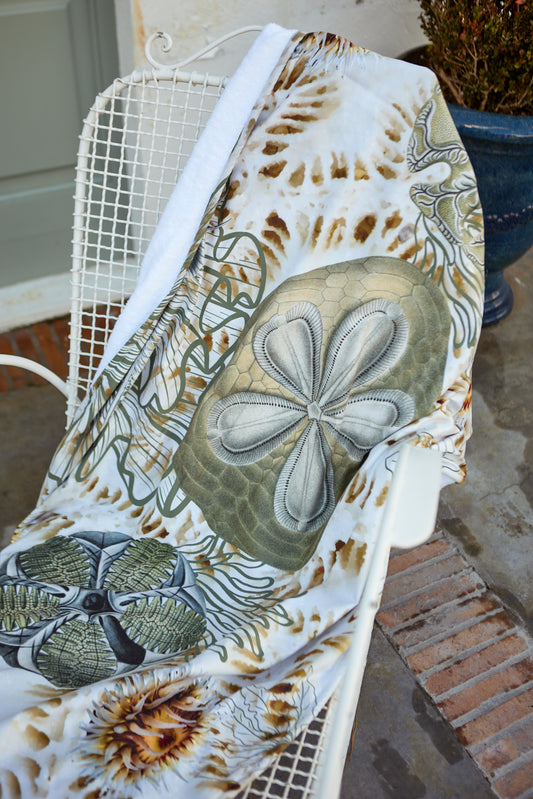 Pansy Shells - Beach Towel